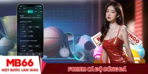 Forum cá độ bóng đá