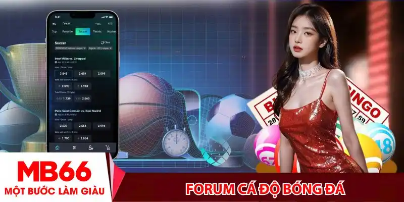 Forum cá độ bóng đá