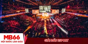 Giải Đấu Esport-Từ Sân Chơi Ao Làng Đến Đấu Trường Tỷ Đô