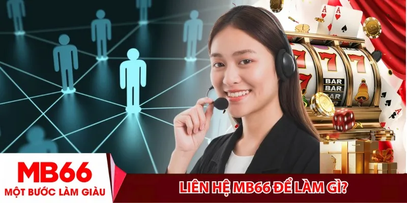 Cách Liên Hệ MB66